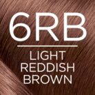 0010570_loreal-paris-excellence-creme-permanent-hair-color-6rb-