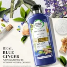 Herbal-Essences-MENA-EN-Blue-ginger-cnd-1