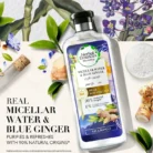 Herbal-Essences-MENA-EN-Blue-ginger-sh-1