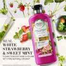 Herbal-Essences-MENA-EN-White-strawberry-cnd-1