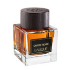 LALIQUE-OMBRE-NOIR-POUR-HOMME-EDP-100-ML-9