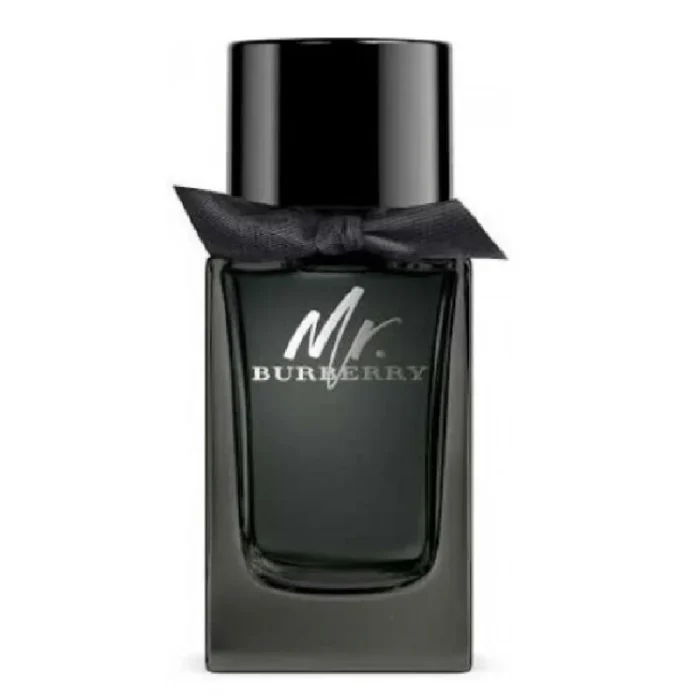 Mr-Burberry-EDP-for-Men-100ml-3.jpg