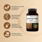 NatureBell-Ashwagandha-12500mg-240-Capsules-Copy