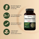 NatureBell-Berberine-Supplement-1500mg-240-Veggie-Capsules-3