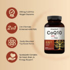 CoQ10 supplement PQQ supplement heart health supplement brain health supplement energy support supplement
