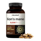 lions mane supplement brain support memory focus cognitive health nootropic natural capsules