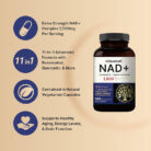 NatureBell-NAD-1500mg-Per-Serving-240-Veggie-Capsules-7