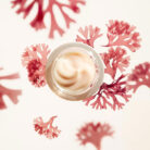 Shiseido-Benefiance-Wrinkle-Smoothing-Cream-50-mL-2