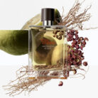Terre-Dhermes-Eau-Intense-Vetiver-EDP-100ml-5