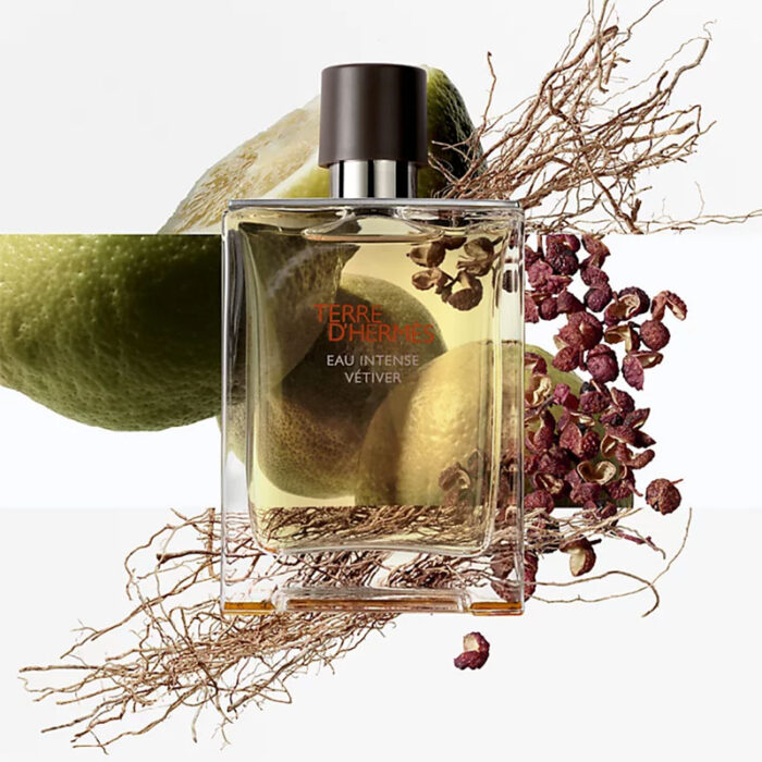 Terre-Dhermes-Eau-Intense-Vetiver-EDP-100ml-5